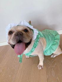 Creative Plaid Dog Dress Set (Option: Green-L)